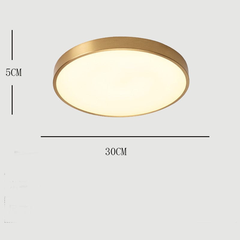 BY COELHO Flush Mount Ceiling Light Modern Flush Mount LED Ceiling Light in Gold