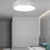 BY COELHO Flush Mount Ceiling Light Modern Pendant Ceiling Light with Acrylic Shade