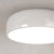 BY COELHO Flush Mount Ceiling Light Modern Pendant Ceiling Light with Acrylic Shade