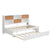 White & Walnut Twin Modern Daybed with Storage Cabinets and Trundle