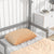 Gray Twin House-Shaped Toddler Floor Bed with Handrails and Slats