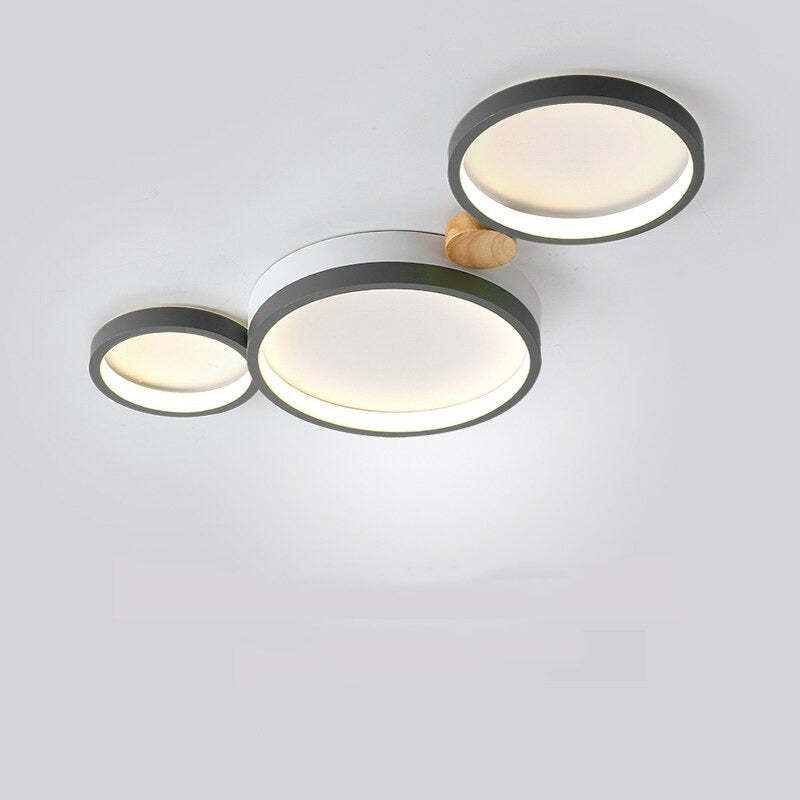 Contemporary Round Flush Mount Ceiling Light