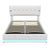 Upholstered Platform Queen Size Lift Up Storage Bed with LED Lighting in White