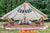 LIFE IN TENTS Bell Tents Life in Tent 16' (5M) STELLA™ STARGAZER BELL TENT-LIT16SSBT