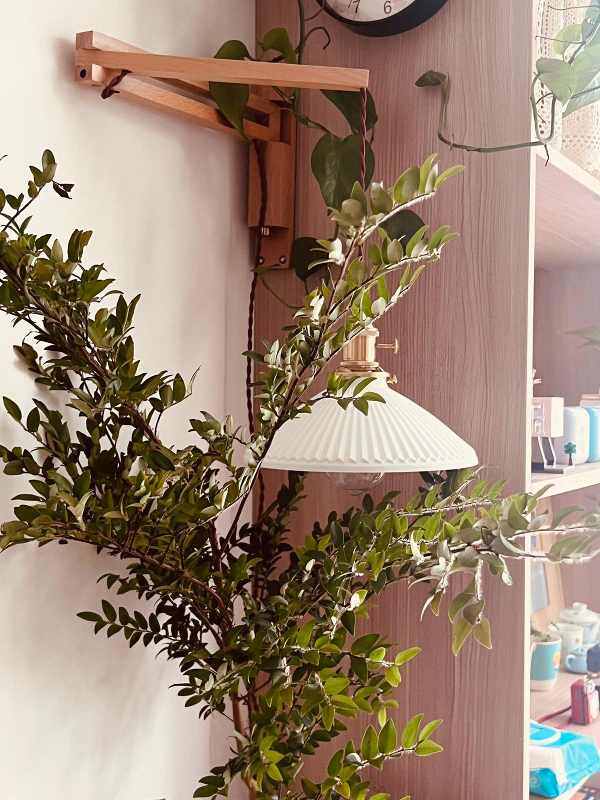 Nøordka Light Bespoke Wall Light Fixture Circular Walnut Nordic Inspired Wall Lamp