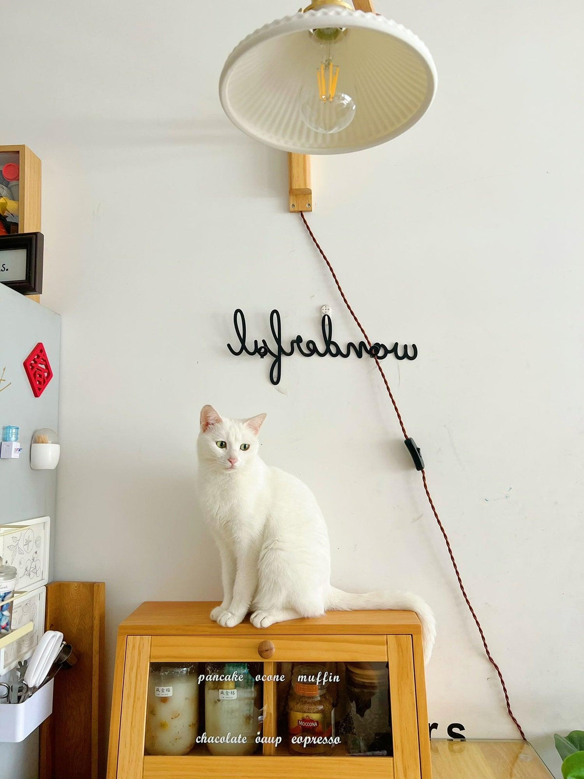 Nøordka Light Bespoke Wall Light Fixture Circular Walnut Nordic Inspired Wall Lamp