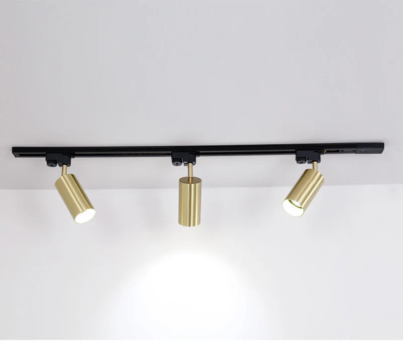 Nøordka Light Ceiling Light Fixtures 3 Bulb Track Modern Black & Gold Flush-Mount Ceiling Spotlight Track Lighting Fixture