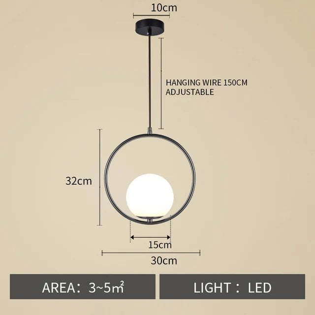 Nøordka Light Ceiling Light Fixtures A style Black / Warm White Nordic Circular Globe Pendant Light Fixture