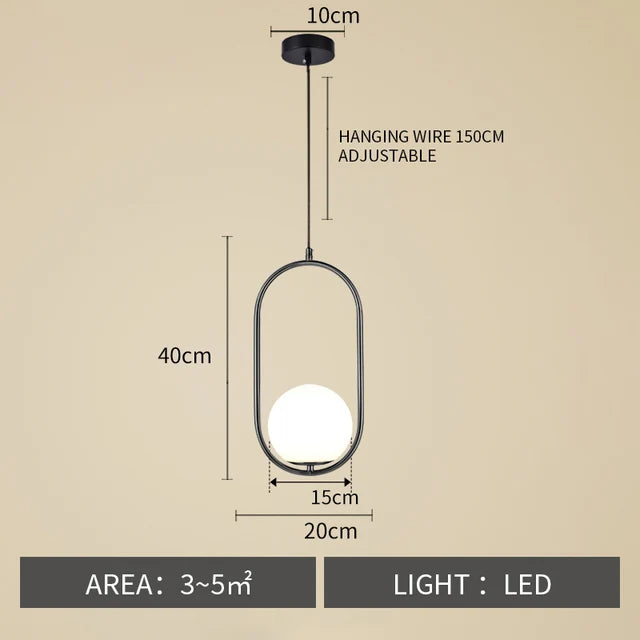 Nøordka Light Ceiling Light Fixtures B style Black / Warm White Nordic Circular Globe Pendant Light Fixture