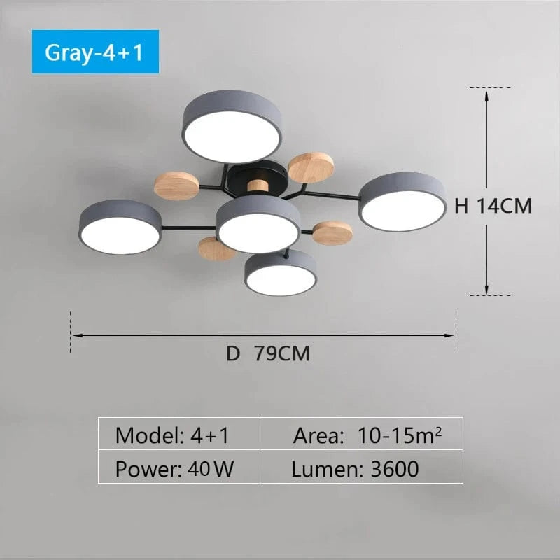 NORDIC LIGHT Modern Multi-Head LED Ceiling Light For Living Spaces