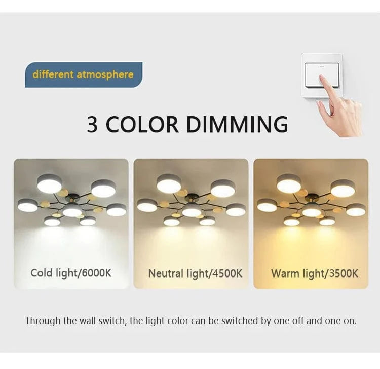 NORDIC LIGHT Modern Multi-Head LED Ceiling Light For Living Spaces