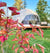 PHOENIX DOMES Geodesic Domes Phoenix Domes - Light Frame 4 Season Glamping Package Dome - 20'/6m