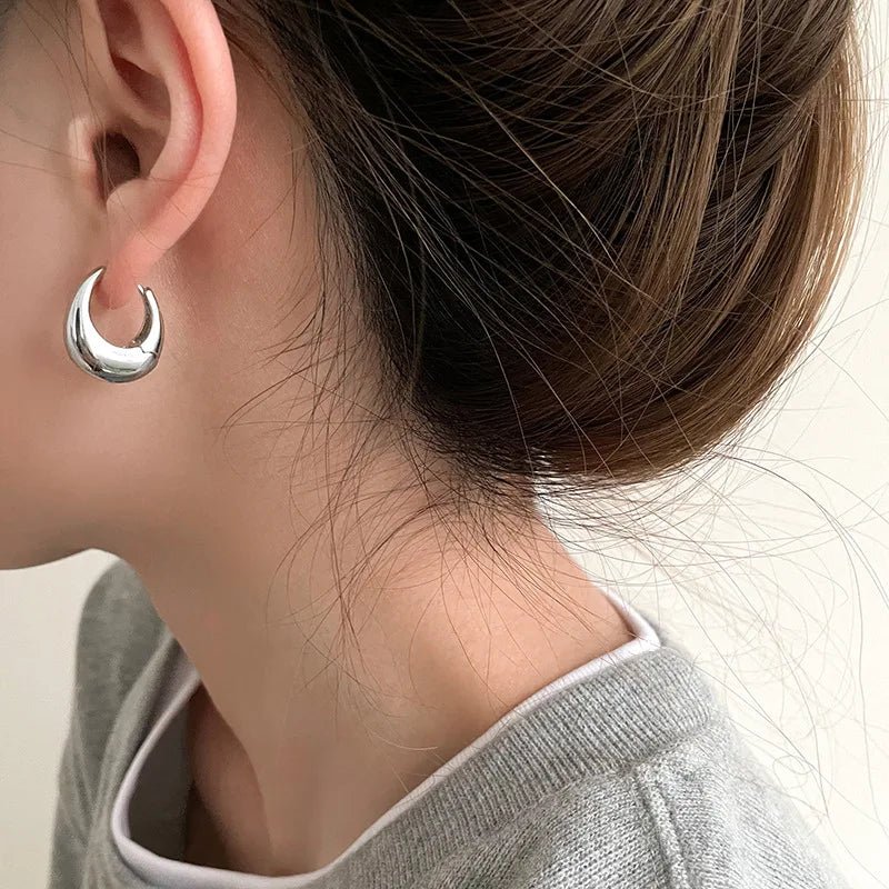 S925 classy hoop dainty earrings 301951