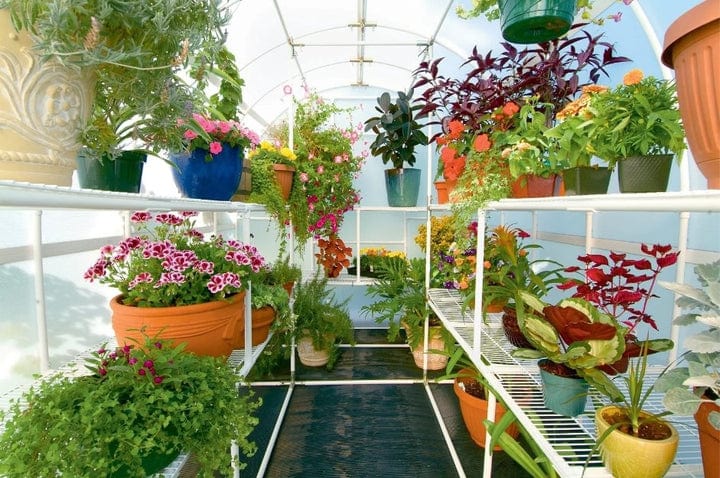 SOLEXX SOLEXX - Gardener's Oasis Greenhouse G-208