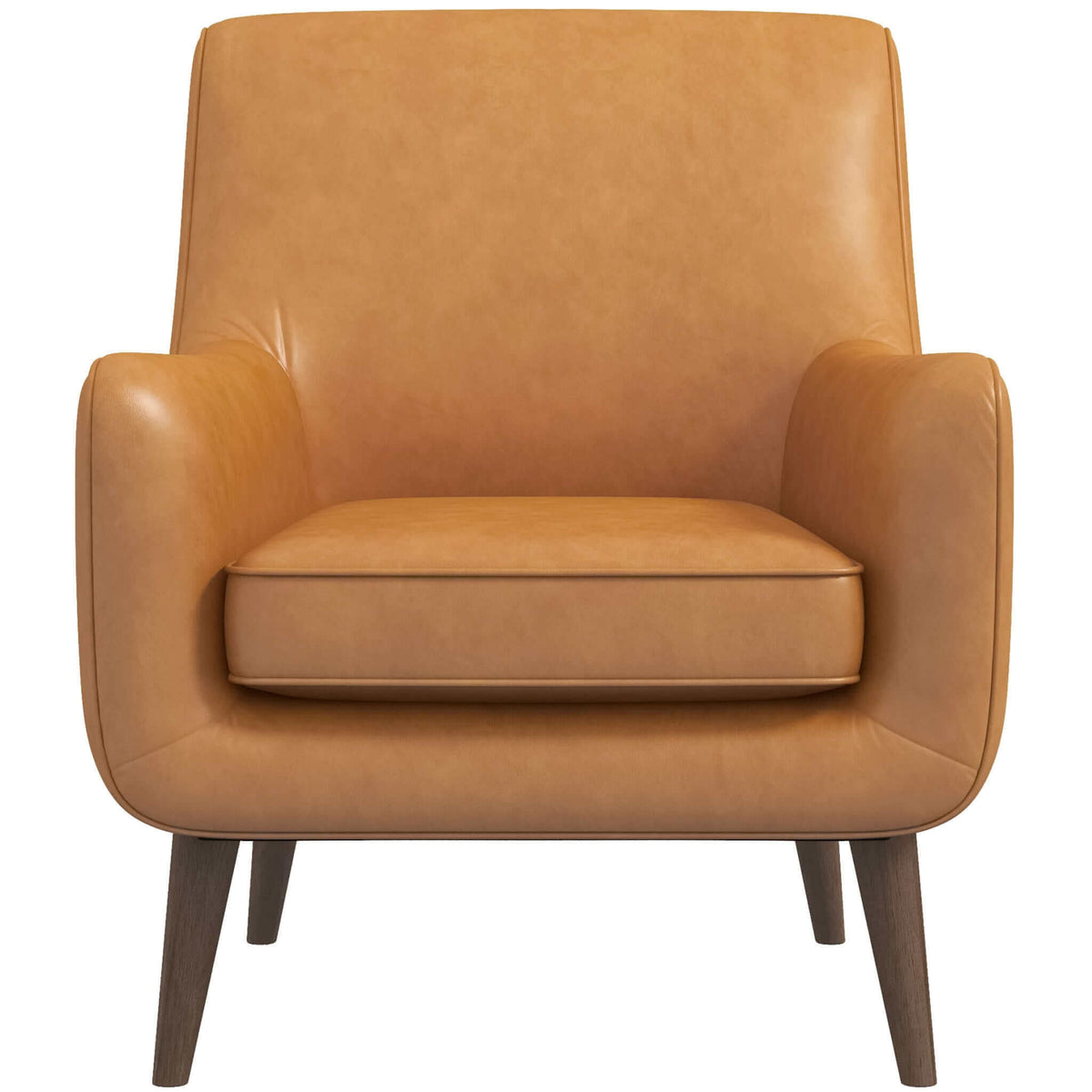 THE FURNITURE CO. Lounge Chairs Premium Leather Lounge Chair for Stylish Living Spaces